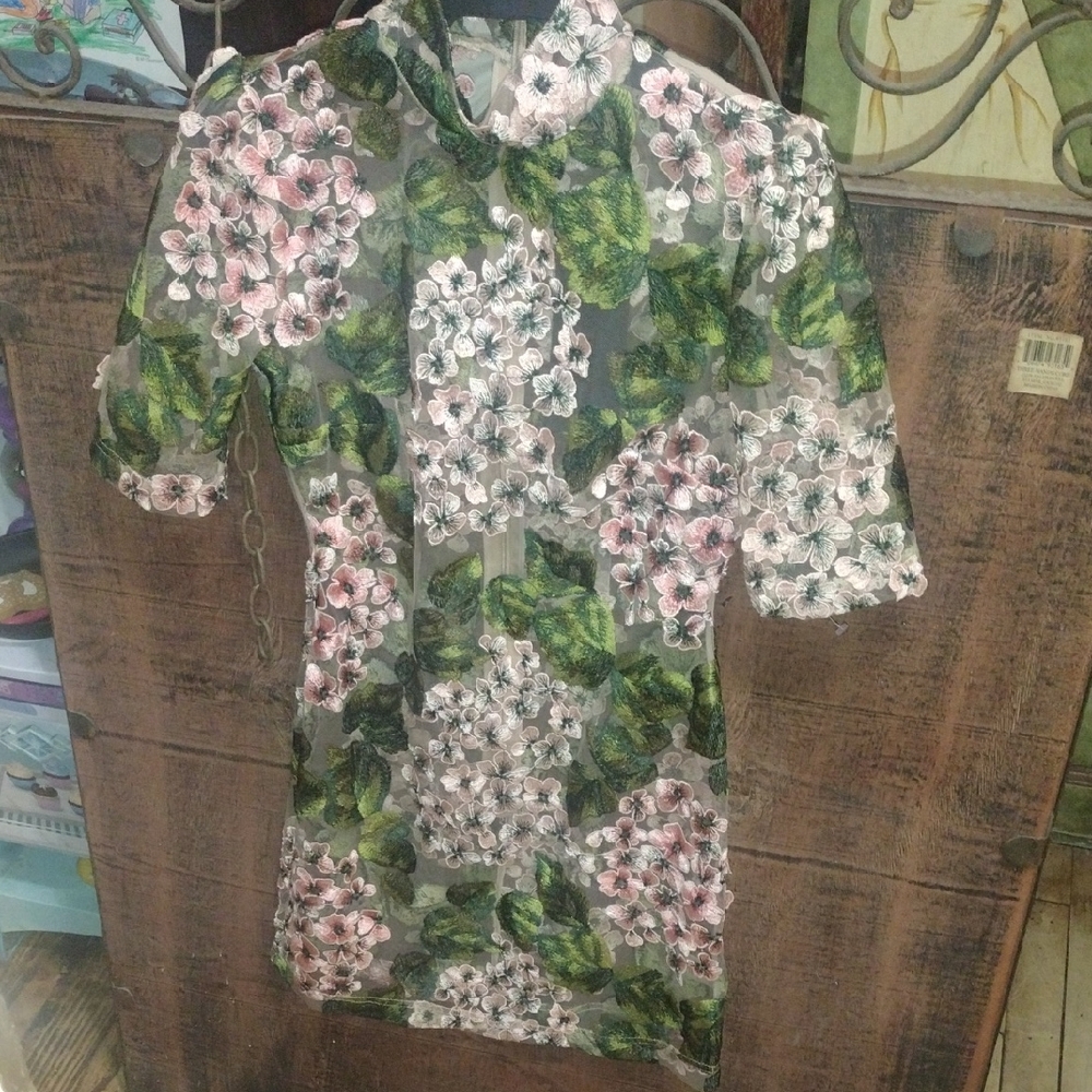 Fashion Nova Floral Mesh Dress in Pink and Green - Picture 3 of 9